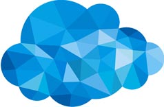 Cloud VPS polygon